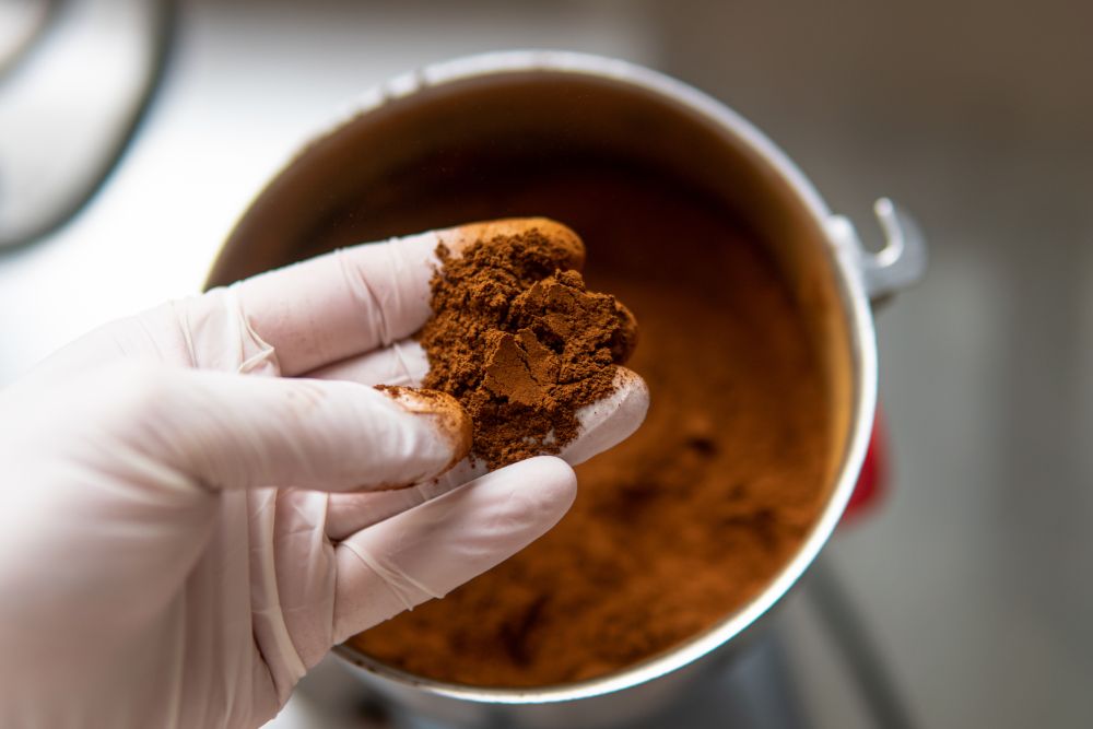 How to Prepare Chaga for Tea and Tinctures