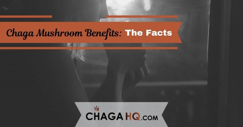 chaga health benefits