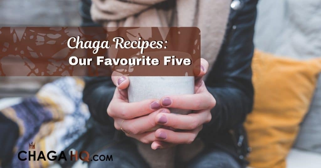 chaga mushroom recipes